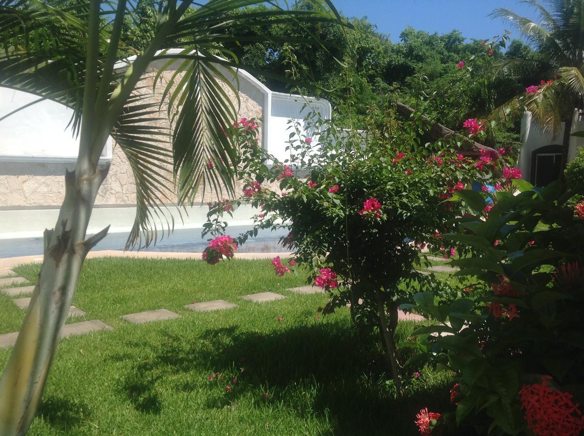 Casa Pili Bed & Breakfast Playa del Carmen Bagian luar foto